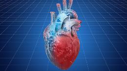 Cardiochirurgia, a Torino debutta il chirurgo creato con l&rsquo;intelligenza artificiale