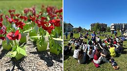 Mille papaveri per la Resistenza: a San Mauro il 25 aprile parte dalle scuole