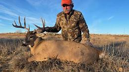 Travolto dagli elefanti nel cuore del Gabon: la morte di Ernie Dosio riapre il caso della caccia di lusso in Africa