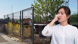 Isola ecologica invasa dai topi a San Mauro. I cittadini: &ldquo;Segnalazioni al Comune ignorate&rdquo;