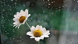 Piemonte, torna l&rsquo;instabilit&agrave;: piogge, temporali e brusco calo delle temperature