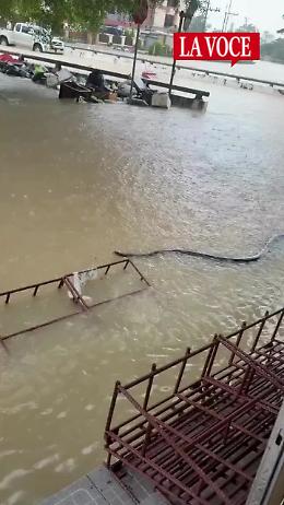 Thailandia, un enorme serpente nuota nelle acque dell’alluvione (VIDEO)