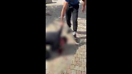 Don Alì, il ‘capo dei maranza’, pubblica un altro video di violenza: Torino esplode nella rabbia