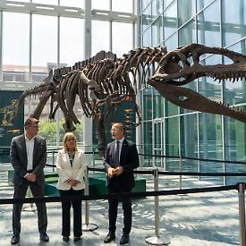 Al Grattacielo Piemonte arriva un gigante preistorico: in mostra il Giganotosaurus carolinii