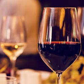 Torino in Vino 2025: il grande ritorno della fiera che celebra storie, territori e piccoli produttori