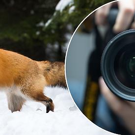 La natura continua a parlare: prosegue a San Mauro la mostra sulla fotografia naturalistica