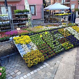 Tra natura e cultura torna la Fiera di San Giuseppe a San Secondo di Pinerolo