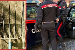 Terrore in strada: 48enne armato di forcone ferisce tre persone e aggredisce i carabinieri