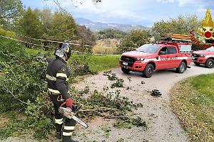 Tempesta in Canavese: alberi abbattuti, voragini e caos traffico