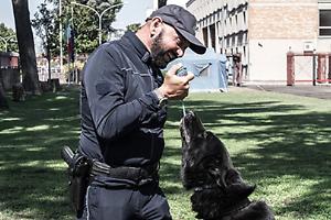 Controlli con cani antidroga tra Novi Ligure e Serravalle: i carabinieri passano al setaccio centri storici, outlet e giardini pubblici