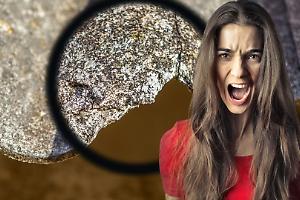 Torino, condominio da incubo: tra amianto, malattie e barriere architettoniche