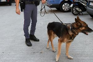 Maxi sequestro in appartamento: arrestati due uomini, uno colombiano e uno italiano