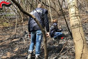 Incendio in Canavese: scintille nel bosco, otto ettari in fumo