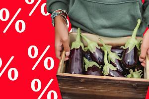 Usura a Torino: smantellata la "banda delle melanzane", metteva in ginocchio imprenditori e commercianti