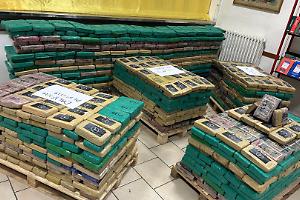 Cocaina a Gioia Tauro, il porto della droga sotto assedio delle mafie e dei traffici globali