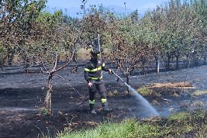 Dramma a San Giusto Canavese: un incendio partito dal ciglio della strada distrugge il raccolto