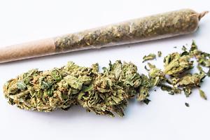 Torino, spacciava droga da casa: arrestato 30enne con oltre due chili di stupefacenti