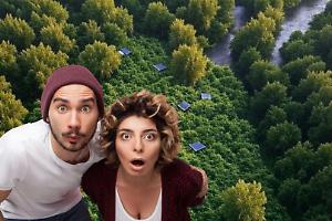 Cannabis high-tech nel Roero: il fiume e il bosco trasformati in laboratorio clandestino