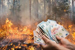 Brucia il bosco per incassare più soldi: agricoltore denunciato per incendio doloso