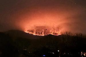 Piemonte, incendio nel bosco: i vigili del fuoco continuano la loro corsa contro il tempo