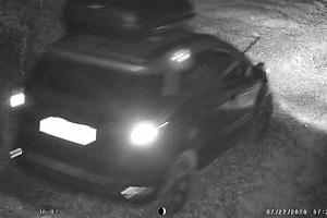 Divignano, padre e figlio sparano dall’auto durante una battuta illegale: denunciati grazie alle fototrappole