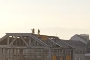 Sul tetto per gioco, a un passo dalla tragedia: nuova follia al parco Peccei tra baby gang e armi giocattolo