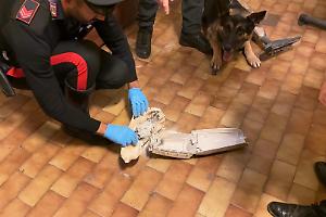 Un controllo casuale fuori al centro commerciale porta ad una scoperta scioccante