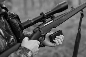 Cane trovato morto nei campi di San Martino Canavese: ipotesi colpo di fucile e nessun microchip