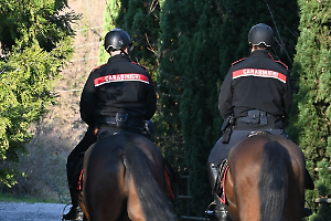 Carabinieri a cavallo irrompono nei boschi: smantellati i rifugi degli spacciatori nella Baraggia