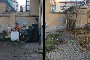 Condominio trasformato in giungla urbana a Torino: degrado, infestazioni e amministratore introvabile