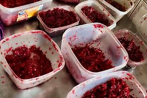 Shisha bar sotto la lente dei Nas a Torino, sequestrati 11 chili di melassa di contrabbando e multe per 55mila euro (FOTO&VIDEO)