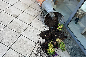 Vandali in festa a Borgofranco: vasi rovesciati, furti e arredi distrutti