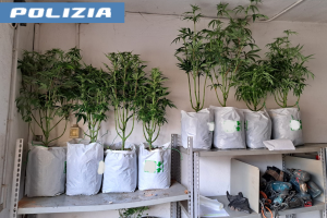 La puzza insospettisce gli agenti: dietro quella porta l’incredibile scoperta della Polizia in un alloggio di Torino