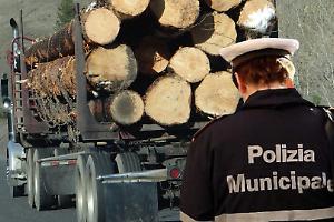 Tir di legname finisce fuori strada a Chieri: traffico rallentato per ore