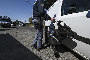 Droga e pistola nello zaino: arrestati due uomini, sequestrato oltre un chilo di marijuana a Torino
