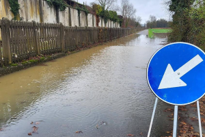 Maltempo nel Torinese, pioggia e vento mettono in ginocchio la collina del Chivassese: alberi caduti, allagamenti e strade chiuse