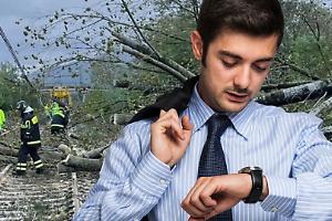 Maltempo blocca la ferrovia delle Alpi: albero sui binari ferma la Cuneo-Ventimiglia