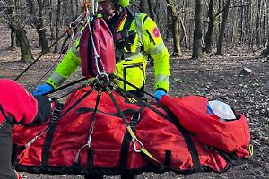 Grave infortunio durante il taglio di un albero: uomo soccorso con l’elisoccorso