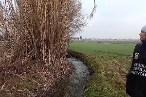 A Settimo Torinese, Borgaro e Caselle comandano i "bracconieri"