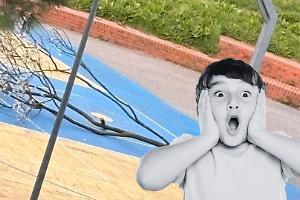 Leini, degrado al Parco Grande Torino: campetti distrutti e rami abbandonati