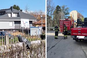 Piccione ferito incastrato in stazione: intervengono i Vigili del Fuoco in Canavese
