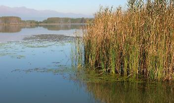 Lago di Candia