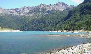 CERESOLE REALE. Gran Paradiso: anima wild