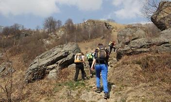 ALICE SUPERIORE. Corso per riconoscere le erbe spontanee