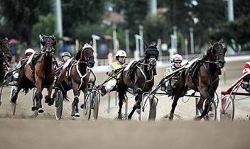 VINOVO. Ippica: scontro in allenamento, gravissimo driver Guzzinati