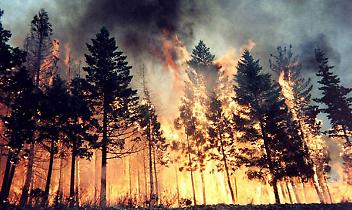 GIVOLETTO. Domate le fiamme ora si indaga sulle cause