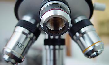 Strambinaria 2025: la scienza scende in piazza e parla a tutti