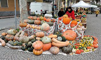 BRANDIZZO. Tutto il programma della XVII edizione della Sagra della Zucca