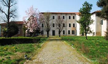 Il Castello di Vische. Il trifoglio e la "w"