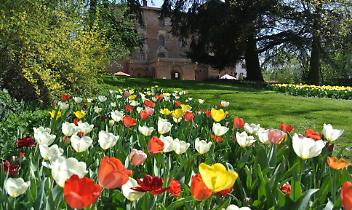 PRALORMO. Messer Tulipano 2015